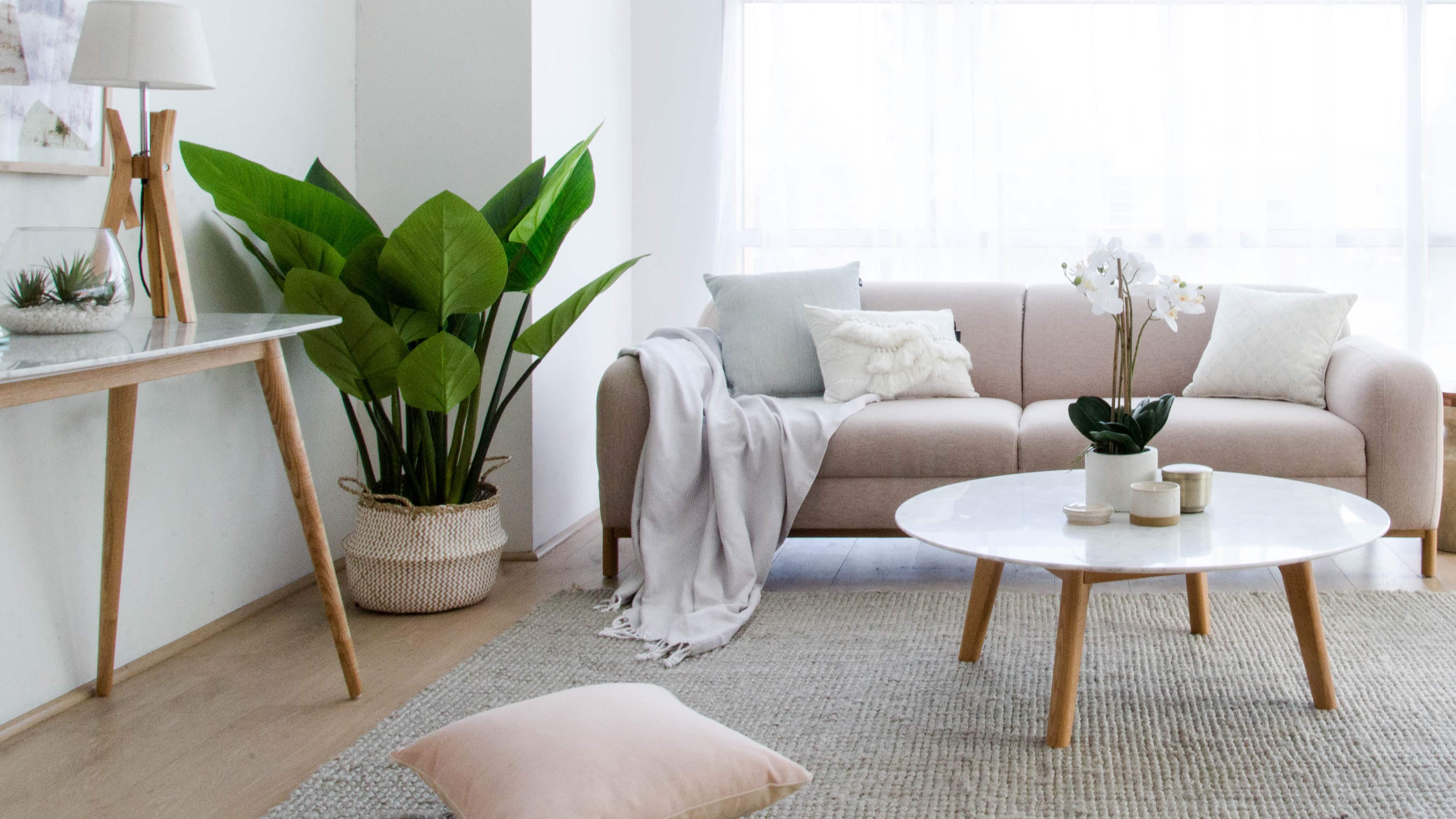 UC00069 A Tips For Decorating With White Property Styling In Sutherland Shire