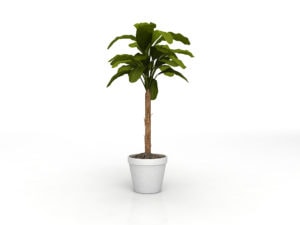 14Feature Greenery 300x225
